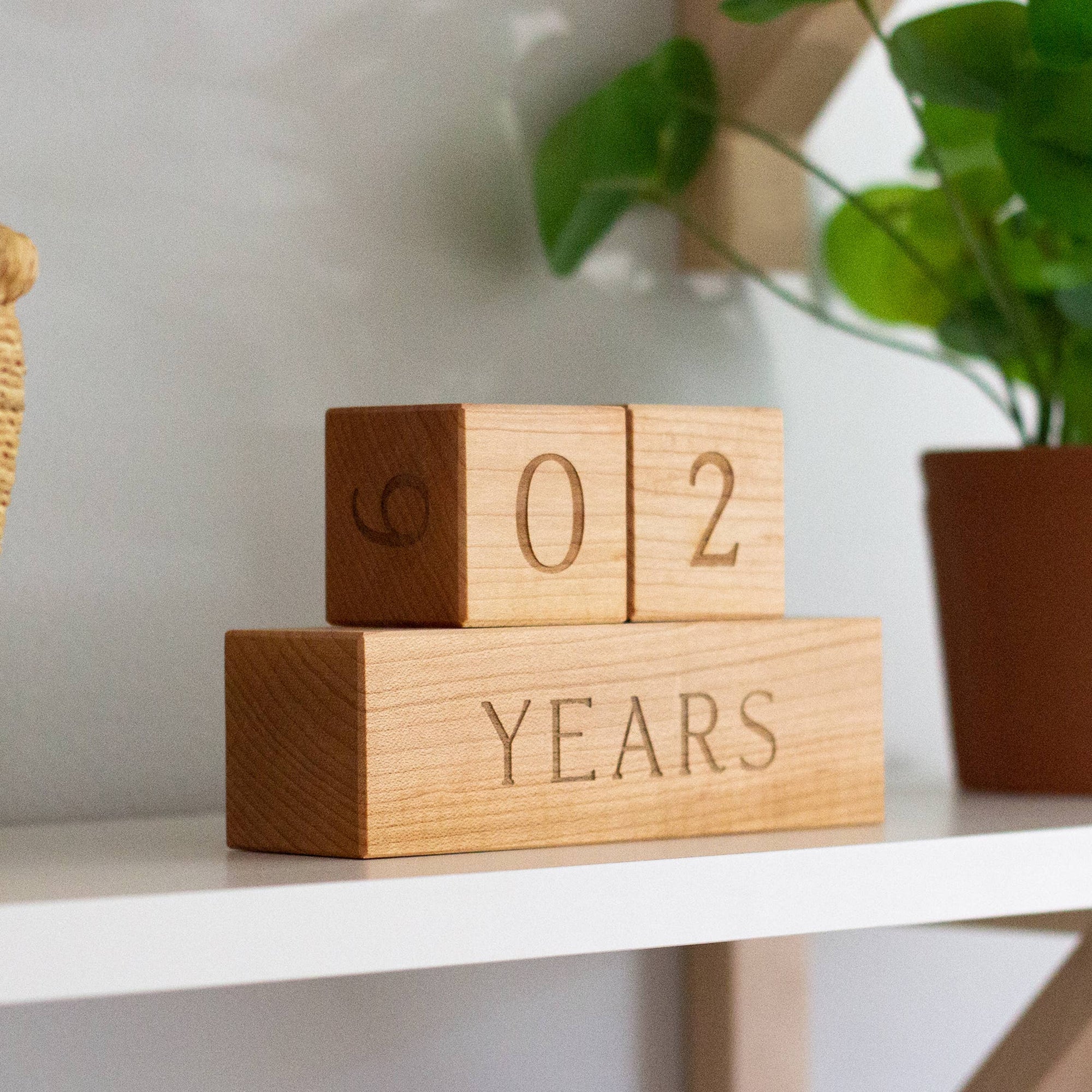 Gladfolk Wooden Milestone Blocks • Modern Maple Heirloom Block Set