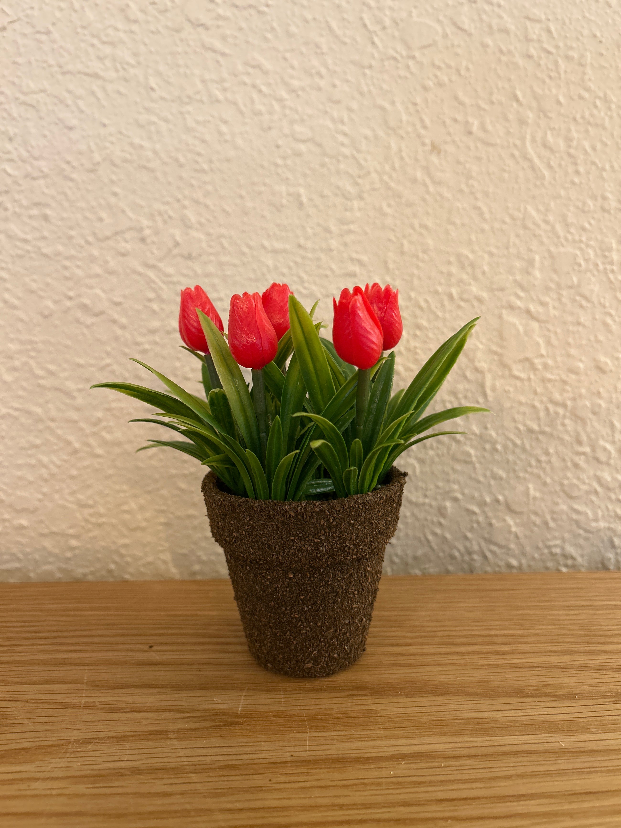 Teacup Tulip Pot Red