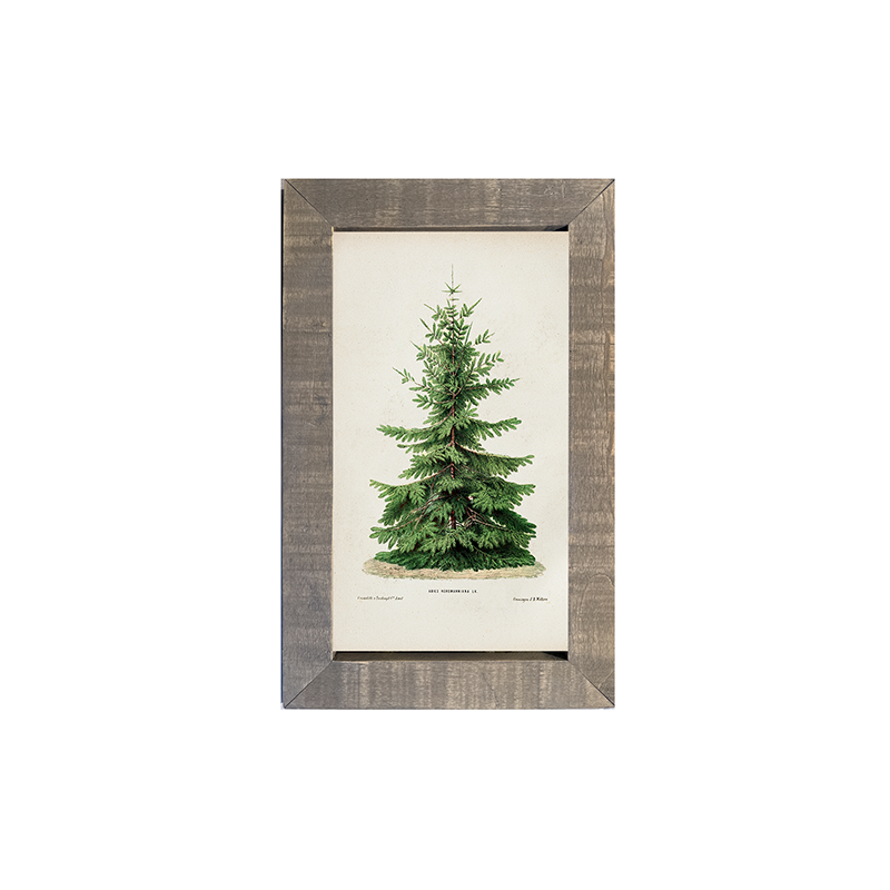 Vintage Tree