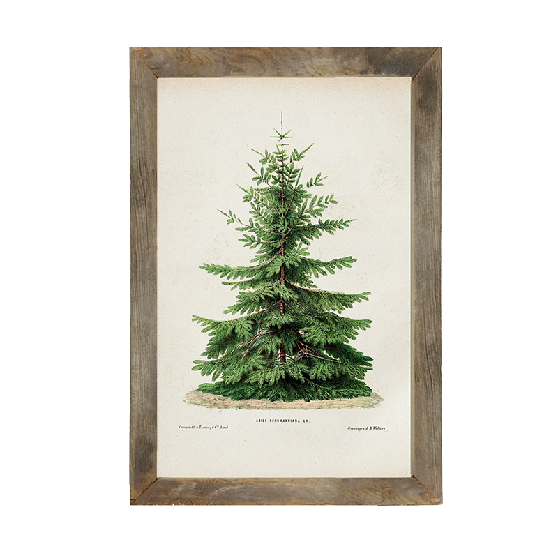 Vintage Tree