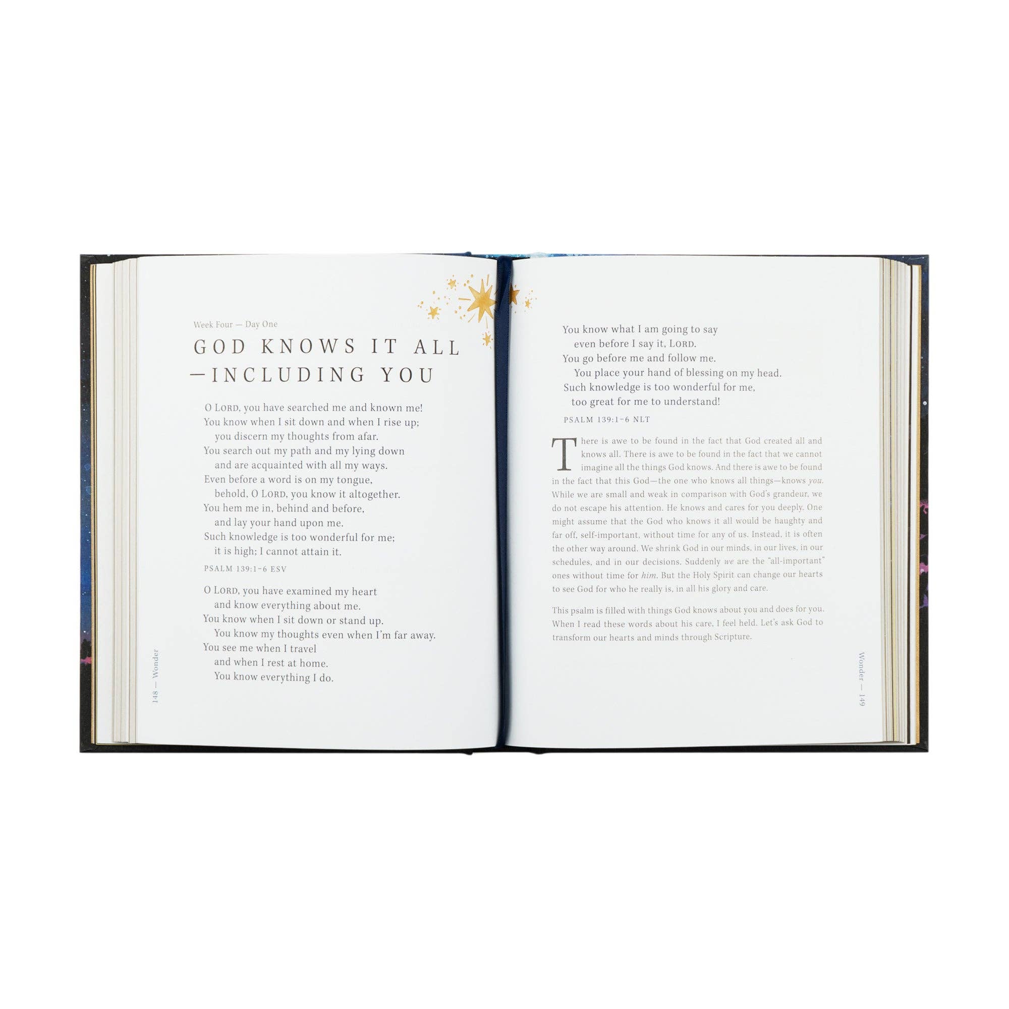 Bible Study: Wonder by Alicia Hamilton