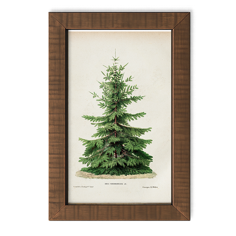 Vintage Tree