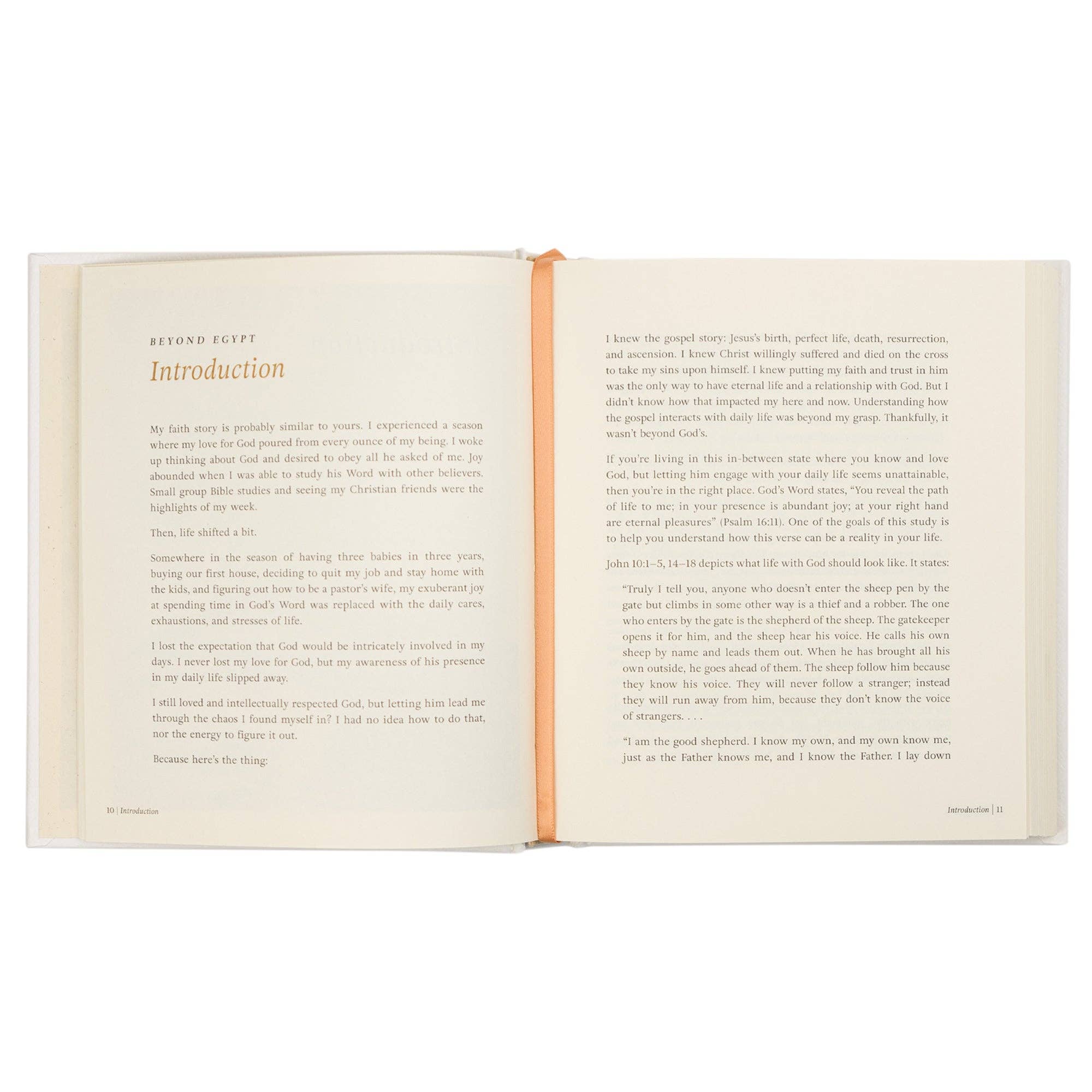 Bible Study: Beyond Egypt by Kari Minter