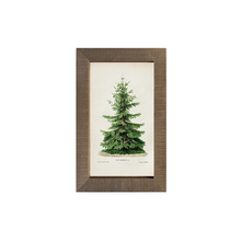 Vintage Tree