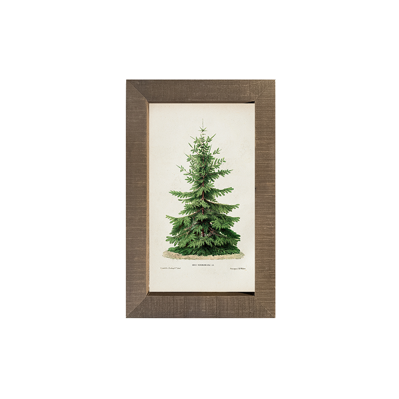 Vintage Tree