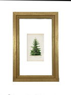 Vintage Tree