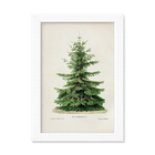 Vintage Tree