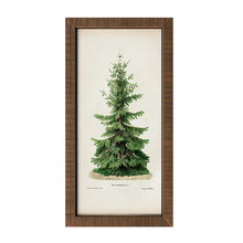 Vintage Tree