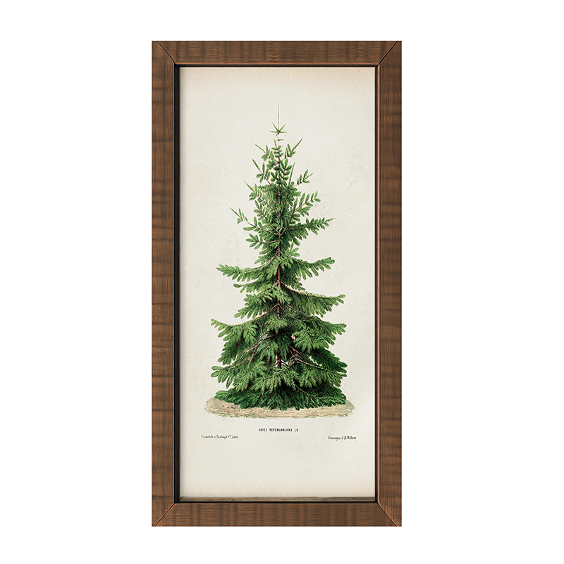 Vintage Tree