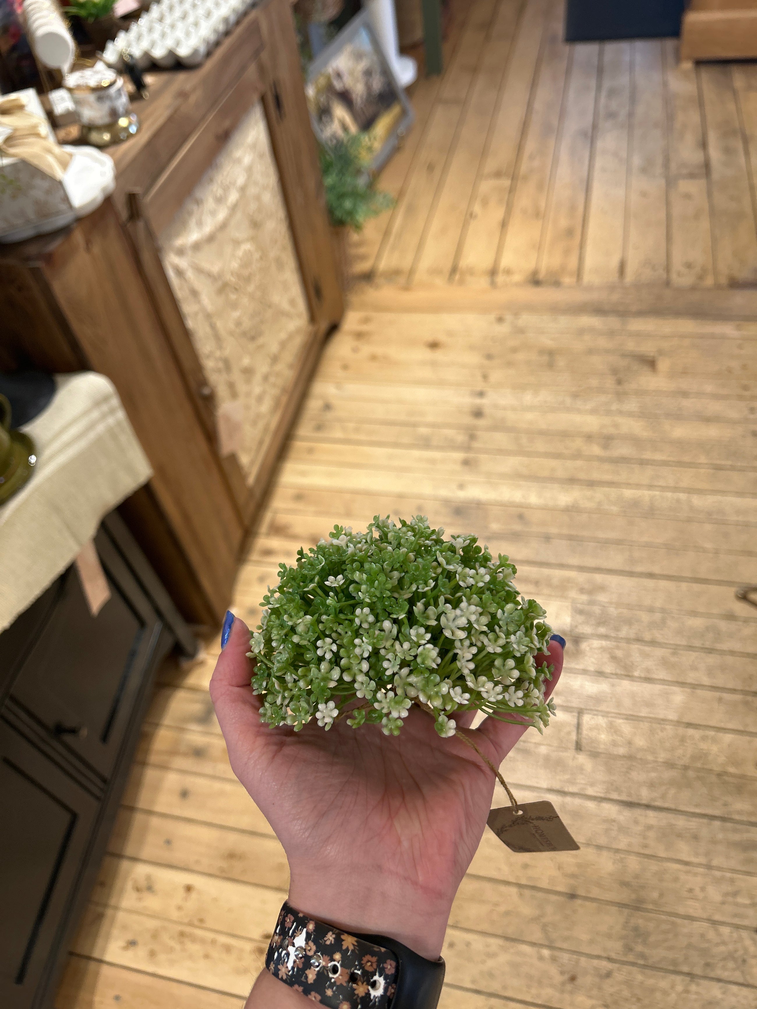 Half Sphere 5" Elfin Blooms
