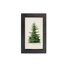Vintage Tree