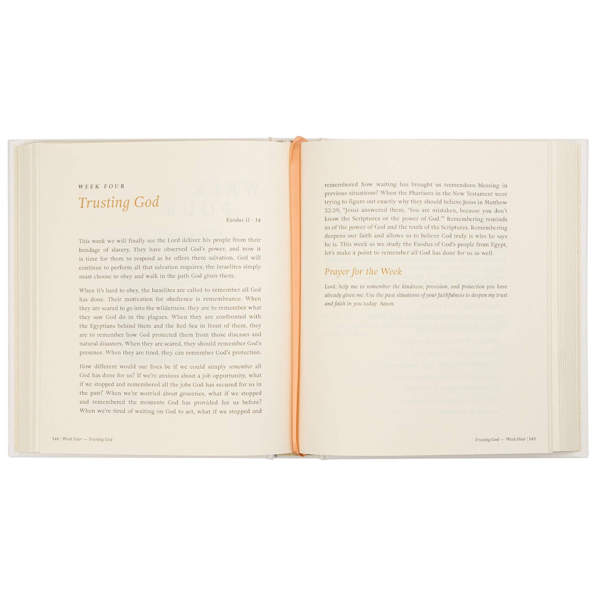 Bible Study: Beyond Egypt by Kari Minter