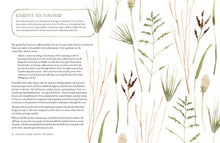 Pilgrim:  25 Ways God’s Character Leads Us Onward
