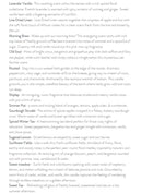 Soy Wax Melts - Phthalate Free