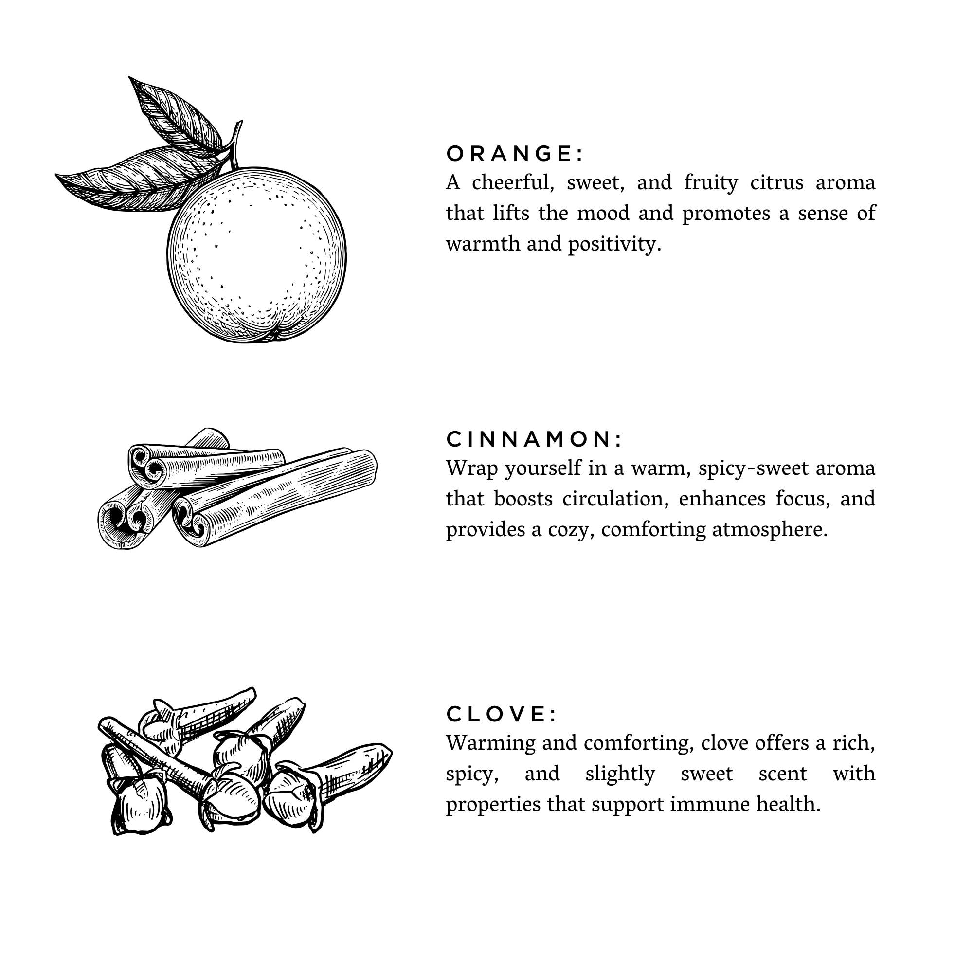 Orange + Clove - Signature 3-Wick Non-Toxic Candle, Fall Favorite