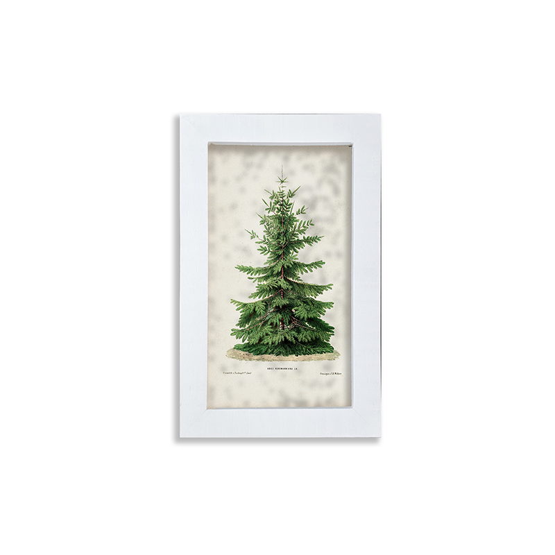 Vintage Tree
