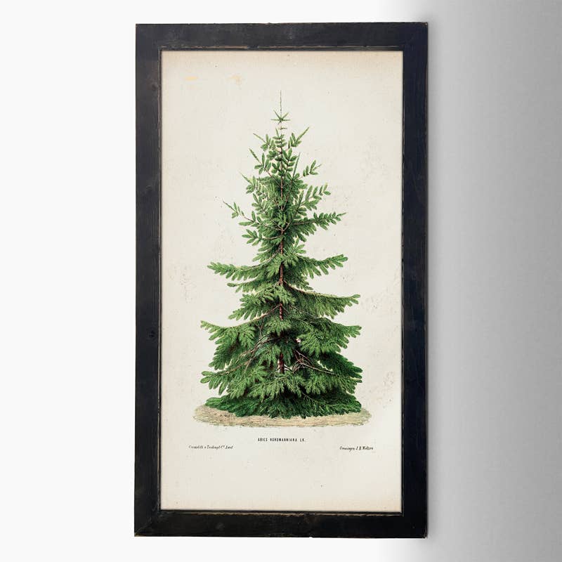 Vintage Tree