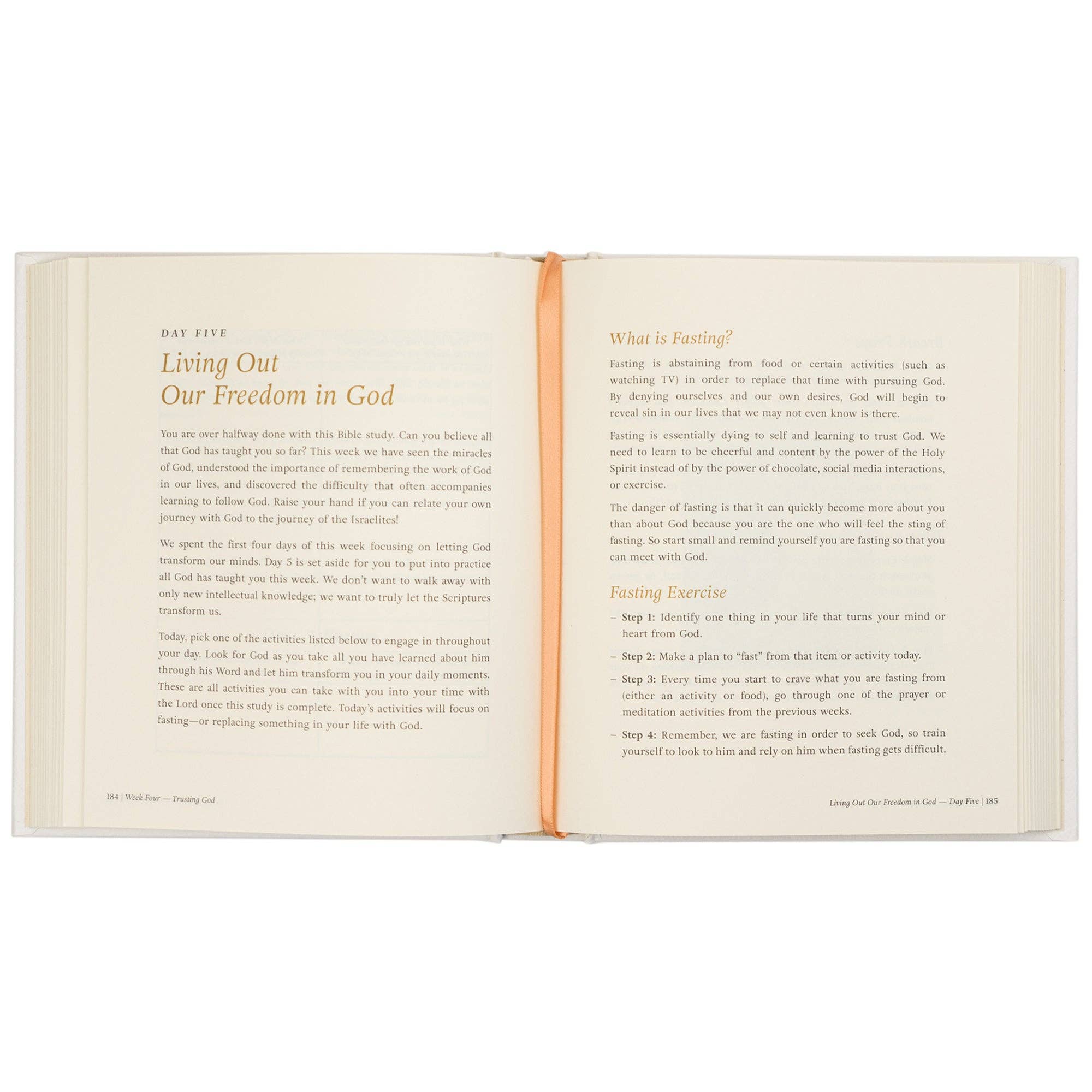 Bible Study: Beyond Egypt by Kari Minter