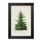 Vintage Tree