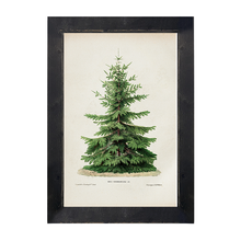 Vintage Tree
