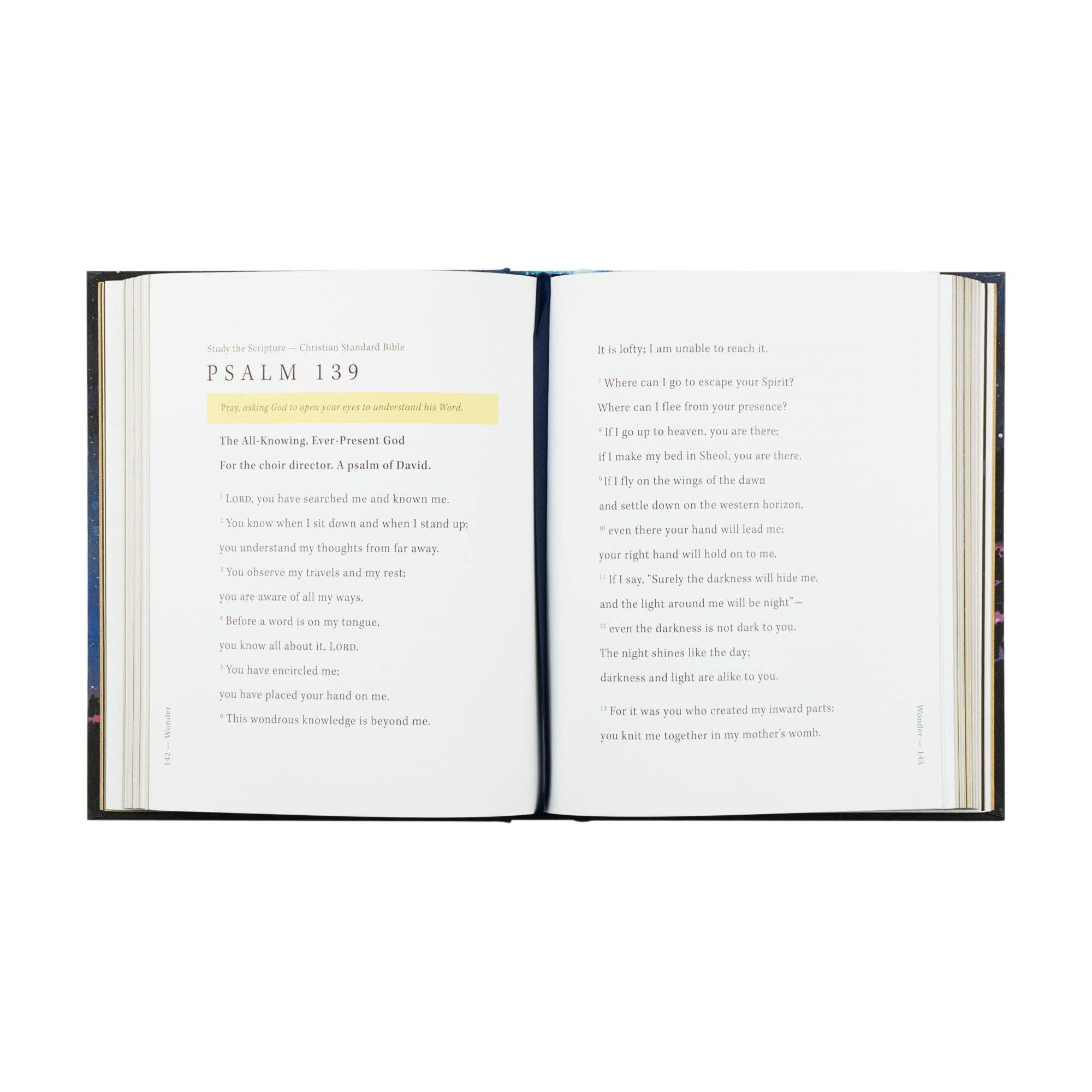 Bible Study: Wonder by Alicia Hamilton
