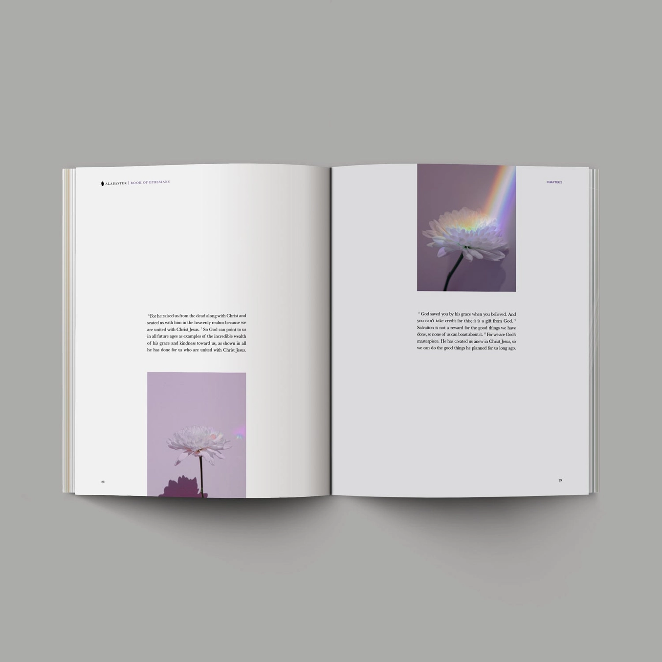 Alabaster Books of the Bible