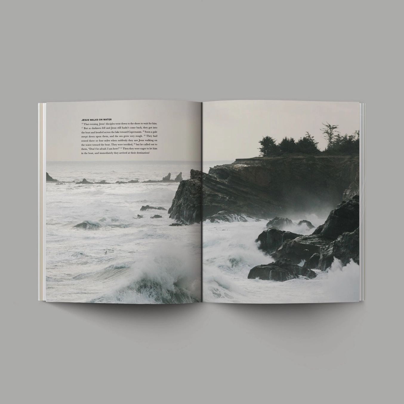 Alabaster Books of the Bible