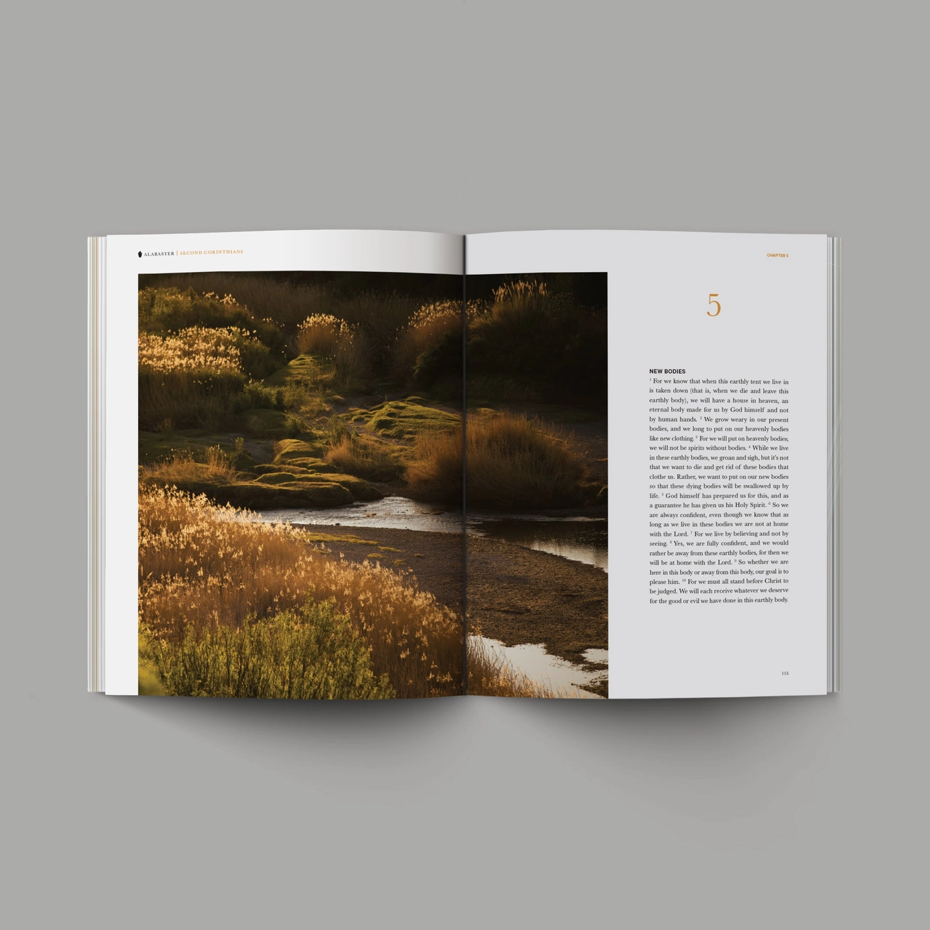 Alabaster Books of the Bible